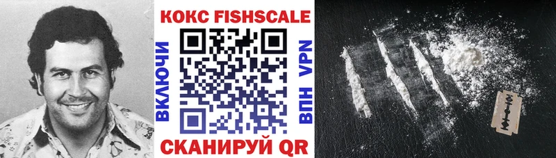 Cocaine FishScale  где продают наркотики  кракен ТОР  Кулебаки 