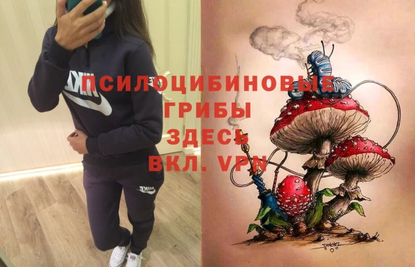 молекула духа Алзамай